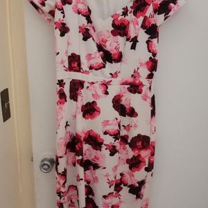 Lot 2 pencil Eva Mendes 👗 size 6